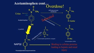Overdose!
N-acetylparabenzoquinoneimine
OH
N
H C
O
CH3
N
H C
O
CH3
O SO3
-
N
C
O
CH3
O
N
C
O
CH3
OH
SG
Acetaminophen
Acetaminophen sulfate
N
H C
O
CH3
O C6H8O6
-
UDP-glucuronosyl-
transferase
<5%
Acetaminophen glutathione conjugate
CytoP450
Urine
Binding to cellular proteins
leading to hepatic and renal
injury
NAPQI
Acetaminophen cont…
 