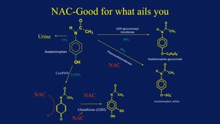 NAC-Good for what ails you
Acetaminophen glucuronide
Urine
OH
N
H C
O
CH3
N
H C
O
CH3
O SO3
-
N
C
O
CH3
O
N
C
O
CH3
OH
SG
Acetaminophen
Acetaminophen sulfate
N
H C
O
CH3
O C6H8O6
-
UDP-glucuronosyl-
transferase
50%
<5%
5-15%
CytoP450
Glutathione (GSH)
NAC
NAC
NAC
NAC
 