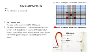 5 Rbc Square FtjyfckygcjhgcjhgcjhgcjhgcCLINICAL TRAY.pptx