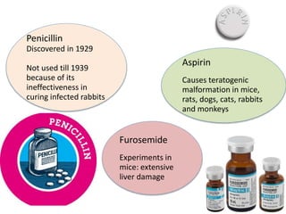 Penicillin
Discovered in 1929
Not used till 1939
because of its
ineffectiveness in
curing infected rabbits
Furosemide
Experiments in
mice: extensive
liver damage
Aspirin
Causes teratogenic
malformation in mice,
rats, dogs, cats, rabbits
and monkeys
 