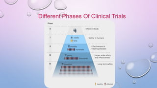 Different Phases Of Clinical Trials
 