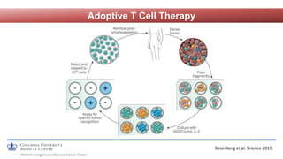 Adoptive T Cell Therapy
Rosenberg et al. Science 2015.
 
