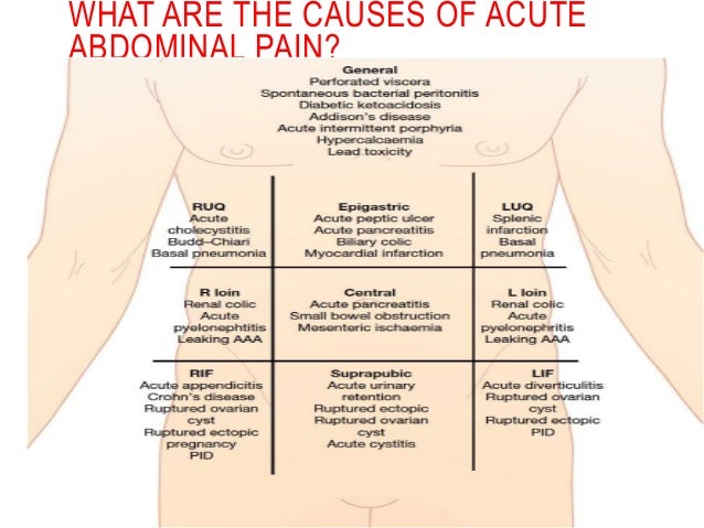 Clinical vignette 5 (Acute Abdominal Pain)