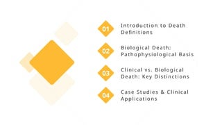 Clinical vs. Biological Death in Anesthesiology: Definitions, Diagnosis ...