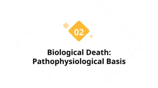 Clinical vs. Biological Death in Anesthesiology: Definitions, Diagnosis ...