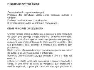 FUNÇÕES DO SISTEMA ÓSSEO
Sustentação do organismo (corpo).
Proteção das estruturas vitais como coração, pulmão e
cérebro.
É a base mecânica para o movimento.
O armazenamento dos sai minerais como cálcio.
OSSOS PRINCIPAIS DO ESQUELETO
Crânio; famoso crânio do falecido, o crânio é o osso mais duro
do corpo, pois protege o órgão mais vital de todos: o cérebro.
Costelas; eles vêm em pares simétricos pelo torso e protegem
a maioria dos órgãos internos do tórax contra impactos. Eles
são projetados para permitir a inflação dos pulmões sem
problemas.
Rádio e ulna. Os ossos do braço, que vêm aos pares, um acima
do outro, e se unem ao punho e antebraço.
Humeral; Osso do antebraço, que conecta a ulna e o rádio aos
ombros.
Coluna vertebral; localizada nas costas e percorrendo todo o
corpo, é uma série de ossos ou vértebras que protegem a
medula espinhal, o principal canal nervoso que permite ao
 