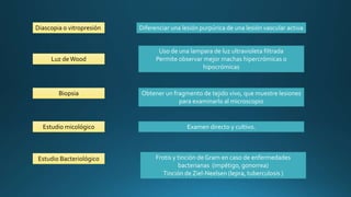 CLÍNICA PROPEDÉUTICA dermatológica en Medicina | PPTX