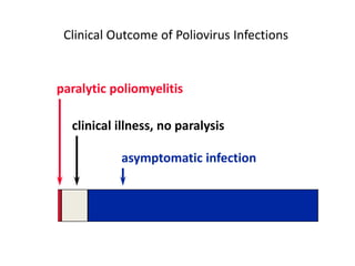 Clinical Outcome of Poliovirus Infections
asymptomatic infection
clinical illness, no paralysis
paralytic poliomyelitis
 