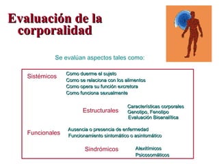 Evaluación de la corporalidad Se evalúan aspectos tales como: Sistémicos Sindrómicos Estructurales Como duerme el sujeto Como se relaciona con los alimentos Como opera su función excretora Alexitímicos Funcionales Ausencia o presencia de enfermedad Características corporales Genotipo, Fenotipo Evaluación Bioanalítica Como funciona sexualmente Psicosomáticos Funcionamiento sintomático o asintomático 
