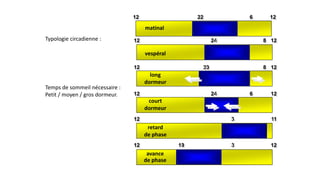 12 22 6 12 
matinal 
12 24 8 12 
vespéral 
12 23 8 12 
long 
dormeur 
12 24 6 12 
court 
dormeur 
12 3 11 
retard 
de phase 
12 19 3 12 
avance 
de phase 
Typologie circadienne : 
Temps de sommeil nécessaire : 
Petit / moyen / gros dormeur. 
 