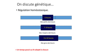 On discute génétique… 
• Régulation homéostasique. 
6 heures 
Des petits dormeurs 
7- 8 heures 
Des moyens dormeurs 
9 à 10 heures 
Des gros dormeurs 
= Un temps passé au lit adapté à chacun 
 