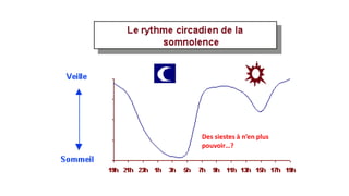 Des siestes à n’en plus 
pouvoir…? 
 