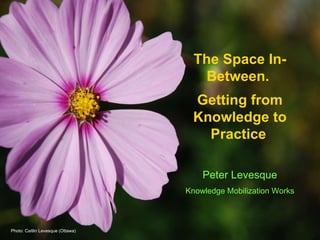 The Space In-Between.  Getting from Knowledge to Practice   Peter Levesque Knowledge Mobilization Works Photo: Caitlin Levesque (Ottawa) 