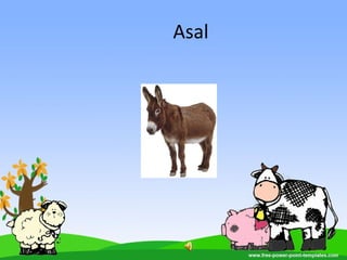 Asal
 