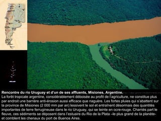 Rencontre du rio Uruguay et d’un de ses affluents, Misiones, Argentine. La forêt tropicale argentine, considérablement déboisée au profit de l’agriculture, ne constitue plus par endroit une barrière anti-érosion aussi efficace que naguère. Les fortes pluies qui s’abattent sur la province de Misiones (2 000 mm par an) lessivent le sol et entraînent désormais des quantités importantes de terre ferrugineuse dans le rio Uruguay, qui se teinte en ocre-rouge. Charriés part le fleuve, ces sédiments se déposent dans l’estuaire du Rio de la Plata –le plus grand de la planète- et comblent les chenaux du port de Buenos Aires.  