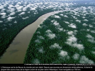 L’Orénoque est le 4e fleuve du monde par son débit. Depuis ses sources en Amazonie vénézuélienne, il draine la plupart des cours d’eau de la région avant de se jeter dans l’Atlantique. Il est navigable sur 700 km. 