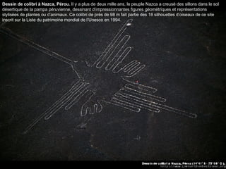 Dessin de colibri à Nazca, Pérou.  Il y a plus de deux mille ans, le peuple Nazca a creusé des sillons dans le sol désertique de la pampa péruvienne, dessinant d’impressionnantes figures géométriques et représentations stylisées de plantes ou d’animaux. Ce colibri de près de 98 m fait partie des 18 silhouettes d’oiseaux de ce site inscrit sur la Liste du patrimoine mondial de l’Unesco en 1994.  