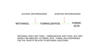 MECHANISM OF ACTION
METHANOL FORMALDEHYDE FORMIC
ACID
ALDEHYDE DEHYDROGENASEALCOHOL DEHYDROGENASE
METHANOL ITSELF NOT TOXIC. FORMALDEHYDE VERY TOXIC, BUT VERY
RAPIDLY METABOLISED TO FORMIC ACID. FORMIC ACID RESPONSIBLE
FOR THE TOXICITY RELATED TO METHANOL INGESTIONS
 
