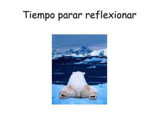 Tiempo parar reflexionar
 