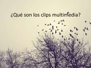 ¿Qué son los clips multimedia?