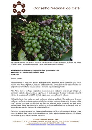 Conselho Nacional do Café – CNC
SCN Quadra 01, Bl. “C”, Ed. Brasília Trade Center, 11º andar, sala 1.101 - CEP 70711-902 – Brasília (DF)
Assessoria de Comunicação: (61) 3226-2269 / 8114-6632
E-mail: imprensa@cncafe.com.br / www.twitter.com/pauloandreck
Na mesma área da foto anterior, conjunto de ramos com número adequado de frutos por roseta
(rosetas cheias), em cafeeiro da cultivar Catuaí, menos sensível ao estresse.
Ministra reúne produtores do ES para tratar de qualidade do café
Assessoria de Comunicação Social do Mapa
02/04/2015
Priscilla Mendes
Representantes de produtores de café do Espírito Santo discutiram, nesta quarta-feira (1º), com a
ministra Kátia Abreu (Agricultura, Pecuária e Abastecimento), formas de melhorar o desempenho das
propriedades cafeicultoras daquele estado e aumentar a qualidade do produto.
Kátia Abreu chamou ao Mapa cooperativas e associações de produtores para começar a traçar um
plano com o objetivo de aumentar as exportações de café capixaba. O estado vendeu ao exterior 3
milhões de sacas de café em 2014. Em todo o país, esse número foi de 36 milhões.
“O Espírito Santo hoje produz um café conilon de altíssima qualidade. Mas podemos e devemos
melhorar a performance dos produtores e incluí-los no nosso programa de aumento da classe média
rural”, afirmou a ministra em referência ao plano de ascensão social no campo que está sendo
elaborado pelo Mapa. “Vamos escolher produtores rurais que estão abaixo da renda média e dar um
empurrão para que eles cheguem lá”, disse Kátia Abreu.
De acordo com a Organização das Cooperativas Brasileiras (OCB), o café representa 43% de toda a
produção agrícola. Pelo menos 80% dos cafeicultores, porém, são familiares e enfrentam dificuldades
de capacitação técnica e para acessar mercados.
 