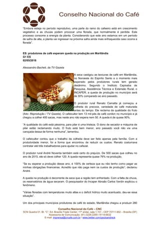 Conselho Nacional do Café – CNC
SCN Quadra 01, Bl. “C”, Ed. Brasília Trade Center, 11º andar, sala 1.101 - CEP 70711-902 – Brasília (DF)
Assessoria de Comunicação: (61) 3226-2269 / 8114-6632
E-mail: imprensa@cncafe.com.br / www.twitter.com/pauloandreck
“Embora esteja no período reprodutivo, uma parte do ramo do cafeeiro está em crescimento
vegetativo e as chuvas podem provocar uma florada, que normalmente é perdida. Este
processo consome a energia da planta. Considerando que este ano estamos em um período
de safra de alta, a planta vai ingressar na próxima safra ainda mais enfraquecida caso ocorra a
florada”.
ES: produtores de café esperam queda na produção em Marilândia
G1 ES
02/05/2016
Alessandro Bacheti, da TV Gazeta
A seca castigou as lavouras de café em Marilândia,
no Noroeste do Espírito Santo e o momento mais
esperado pelos produtores rurais tem gerado
desânimo. Segundo o Instituto Capixaba de
Pesquisa, Assistência Técnica e Extensão Rural, o
INCAPER, a queda de produção no município será
de 30% comparado ao ano passado.
O produtor rural Renato Camatta já começou a
colheita do precoce, variedade de café maturada
antes do tempo. Ele reclama da qualidade do fruto
(foto: Reprodução / TV Gazeta). O cafeicultor tem 13 mil pés de café conilon no município e já
chegou a colher 400 sacas, mas neste ano não espera nem 50. A queda é de quase 90%.
“A qualidade do café está péssima, para pilar é uma tristeza. O dono de secador e máquina de
pilar estão reclamando muito. O fruto está bem menor, ano passado você não via uma
caroçada dessa de forma nenhuma”, lamentou.
O cafeicultor contou que o trabalho da colheita deve ser feito apenas pela família. Com a
produtividade menor, foi a forma que encontrou de reduzir os custos. Renato costumava
contratar até três trabalhadores para ajudar no cafezal.
O produtor rural André Noventa também está certo do prejuízo. De 500 sacas que colheu no
ano de 2015, ele só deve colher 120. A queda representa quase 76% na produção.
“Se eu esperar a produção desse ano, é 100% de certeza que eu não tenho como pagar as
minhas obrigações financeiras. Acredito que não paga nem os custos de produção”, declarou
André.
A queda na produção é decorrente da seca que a região tem enfrentado. Com a falta de chuva,
os reservatórios de água secaram. O pesquisador do Incaper Abraão Carlos Verdin explicou o
fenômeno.
“Várias floradas com temperaturas muito altas e o deficit hídrico muito acentuado, deu-se essa
situação”.
Um dos principais municípios produtores de café do estado, Marilândia chegou a produzir 280
 