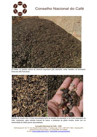 Conselho Nacional do Café – CNC
SCN Quadra 01, Bl. “C”, Ed. Brasília Trade Center, 11º andar, sala 1.101 - CEP 70711-902 – Brasília (DF)
Assessoria de Comunicação: (61) 3226-2269 / 8114-6632
E-mail: imprensa@cncafe.com.br / www.twitter.com/pauloandreck
O monte, ou grande volume de resíduos separados pelo abanador, onde, também, se encontram
frutos de café mais leves.
Detalhe do monte com s frutos encontrados junto ao residuo da abanação e os frutos separados na
mão, mostrando, após retirada manual da casca, a presença de grãos miudos, leves (ver na
extremidade do dedo) porem aproveitáveis.
 