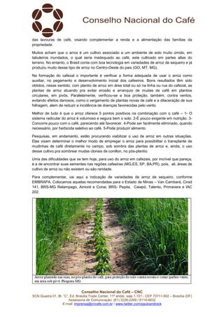 Conselho Nacional do Café – CNC
SCN Quadra 01, Bl. “C”, Ed. Brasília Trade Center, 11º andar, sala 1.101 - CEP 70711-902 – Brasília (DF)
Assessoria de Comunicação: (61) 3226-2269 / 8114-6632
E-mail: imprensa@cncafe.com.br / www.twitter.com/pauloandreck
das lavouras de café, visando complementar a renda e a alimentação das famílias da
propriedade.
Muitos acham que o arroz é um cultivo associado a um ambiente de solo muito úmido, em
tabuleiros inundados, o qual seria inadequado ao café, este cultivado em partes altas do
terreno. No entanto, o Brasil conta com boa tecnologia em variedades de arroz de sequeiro e já
produziu muito desse tipo de arroz no Centro-Oeste do pais (GO, MT, MG).
Na formação do cafezal o importante é verificar a forma adequada de usar o arroz como
auxiliar, no pegamento e desenvolvimento inicial dos cafeeiros. Bons resultados têm sido
obtidos, nesse sentido, com plantio de arroz em área total ou só na linha ou rua do cafezal, as
plantas de arroz atuando pra evitar erosão e arranquio de mudas de café em plantios
circulares, em pivôs. Paralelamente, verificou-se a boa proteção, também, contra ventos,
evitando efeitos danosos, como o vergamento de plantas novas de café e a dilaceração de sua
folhagem, alem de reduzir a incidência de doenças favorecidas pelo vento.
Melhor de tudo é que o arroz oferece 5 pontos positivos na combinação com o café – 1- O
sistema radicular do arroz é volumoso e segura bem o solo. 2-É pouco exigente em nutrição. 3-
Concorre pouco com o café, parecendo até favorecer. 4-Pode ser facilmente eliminado, quando
necessário, por herbicida seletivo ao café. 5-Pode produzir alimento.
Pesquisas, em andamento, estão procurando viabilizar o uso de arroz em outras situações.
Elas visam determinar o melhor modo de empregar o arroz para possibilitar o transplante de
mudinhas de café diretamente no campo, sob sombra das plantas de arroz e, ainda, o uso
desse cultivo pra sombrear mudas clonais de conillon, no pós-plantio.
Uma das dificuldades que se tem hoje, para uso do arroz em cafezais, por incrível que pareça,
é a de encontrar suas sementes nas regiões cafeeiras (MG,ES, SP, BA,PR), pois, ali, áreas de
cultivo de arroz ou não existem ou são raridade.
Para complementar, vai aqui a indicação de variedades de arroz de sequeiro, conforme
EMBRAPA. Colocamos aquelas recomendadas para o Estado de Minas – Van Cambará, Cirad
141, BRS-MG Relampago, Aimoré e Conai, BRS- Pepita, Caiapó, Talento, Primavera e IAC
202.
 