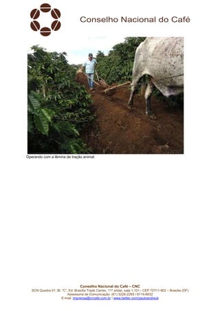 Conselho Nacional do Café – CNC
SCN Quadra 01, Bl. “C”, Ed. Brasília Trade Center, 11º andar, sala 1.101 - CEP 70711-902 – Brasília (DF)
Assessoria de Comunicação: (61) 3226-2269 / 8114-6632
E-mail: imprensa@cncafe.com.br / www.twitter.com/pauloandreck
Operando com a lâmina de tração animal.
 