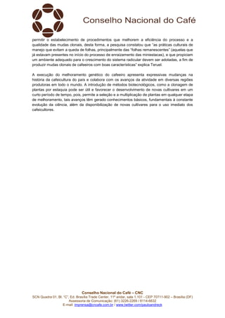 Conselho Nacional do Café – CNC
SCN Quadra 01, Bl. “C”, Ed. Brasília Trade Center, 11º andar, sala 1.101 - CEP 70711-902 – Brasília (DF)
Assessoria de Comunicação: (61) 3226-2269 / 8114-6632
E-mail: imprensa@cncafe.com.br / www.twitter.com/pauloandreck
permitir o estabelecimento de procedimentos que melhorem a eficiência do processo e a
qualidade das mudas clonais, desta forma, a pesquisa constatou que “as práticas culturais de
manejo que evitam a queda de folhas, principalmente das “folhas remanescentes” (aquelas que
já estavam presentes no início do processo de enraizamento das miniestacas), e que propiciam
um ambiente adequado para o crescimento do sistema radicular devem ser adotadas, a fim de
produzir mudas clonais de cafeeiros com boas características” explica Teruel.
A execução do melhoramento genético do cafeeiro apresenta expressivas mudanças na
história da cafeicultura do país e colabora com os avanços da atividade em diversas regiões
produtoras em todo o mundo. A introdução de métodos biotecnológicos, como a clonagem de
plantas por estaquia pode ser útil e favorecer o desenvolvimento de novas cultivares em um
curto período de tempo, pois, permite a seleção e a multiplicação de plantas em qualquer etapa
de melhoramento, tais avanços têm gerado conhecimentos básicos, fundamentais à constante
evolução da ciência, além da disponibilização de novas cultivares para o uso imediato dos
cafeicultores.
 