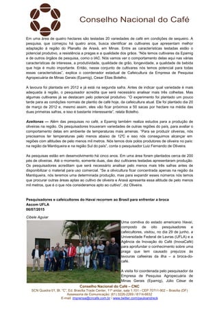 Conselho Nacional do Café – CNC
SCN Quadra 01, Bl. “C”, Ed. Brasília Trade Center, 11º andar, sala 1.101 - CEP 70711-902 – Brasília (DF)
Assessoria de Comunicação: (61) 3226-2269 / 8114-6632
E-mail: imprensa@cncafe.com.br / www.twitter.com/pauloandreck
Em uma área de quatro hectares são testadas 20 variedades de café em condições de sequeiro. A
pesquisa, que começou há quatro anos, busca identificar as cultivares que apresentam melhor
adaptação à região do Planalto de Araxá, em Minas. Entre as características testadas estão o
potencial produtivo, a resistência a pragas e a qualidade dos grãos. “Nós temos cultivares da Epamig
e de outros órgãos de pesquisa, como o IAC. Nós vamos ver o comportamento delas aqui nas várias
características de interesse, a produtividade, qualidade de grão, longevidade, a qualidade de bebida
que hoje é muito importante. Então, nesse conjunto de cultivares nós temos potencial para todas
essas características”, explica o coordenador estadual de Cafeicultura da Empresa de Pesquisa
Agropecuária de Minas Gerais (Epamig), Cesar Elias Botelho.
A lavoura foi plantada em 2012 e já está na segunda safra. Antes de indicar qual variedade é mais
adequada à região, o pesquisador acredita que será necessário analisar mais três colheitas. Mas
algumas cultivares já se destacam pelo potencial produtivo. “O experimento foi plantado um pouco
tarde para as condições normais de plantio de café hoje, da cafeicultura atual. Ele foi plantado dia 20
de março de 2012 e, mesmo assim, eles vão ficar próximos a 50 sacas por hectare na média das
duas primeiras safras, e isso é bastante interessante”, relata Botelho.
Azeitonas — Além das pesquisas no café, a Epamig também realiza estudos para a produção de
oliveiras na região. Os pesquisadores trouxeram variedades de outras regiões do país, para avaliar o
comportamento delas em ambiente de temperaturas mais amenas. “Para se produzir oliveiras, nós
precisamos ter temperaturas pelo menos abaixo de 12°C e isso nós conseguimos alcançar em
regiões com altitudes de pelo menos mil metros. Nós temos dois polos produtores de oliveira no país:
na região da Mantiqueira e na região Sul do país”, conta o pesquisador Luiz Fernando de Oliveira.
As pesquisas estão em desenvolvimento há cinco anos. Em uma área foram plantados cerca de 200
pés de oliveiras. Até o momento, somente duas, das dez cultivares testadas apresentaram produção.
Os pesquisadores acreditam que será necessário analisar pelo menos mais três safras antes de
disponibilizar o material para uso comercial. “Se a olivicultura ficar concentrada apenas na região da
Mantiqueira, nós teremos uma determinada produção, mas para expandir esses números nós temos
que procurar outras áreas aptas ao cultivo de oliveira e Araxá apresenta essa altitude de pelo menos
mil metros, que é o que nós consideramos apto ao cultivo”, diz Oliveira.
Pesquisadores e cafeicultores do Havaí recorrem ao Brasil para enfrentar a broca
Ascom UFLA
06/07/2015
Cibele Aguiar
Uma comitiva do estado americano Havaí,
composto de oito pesquisadores e
cafeicultores, visitou, no dia 29 de junho, a
Universidade Federal de Lavras (UFLA) e a
Agência de Inovação do Café (InovaCafé)
para aprofundar o conhecimento sobre uma
praga que tem causado prejuízos às
lavouras cafeeiras da ilha – a broca-do-
café.
A visita foi coordenada pelo pesquisador da
Empresa de Pesquisa Agropecuária de
Minas Gerais (Epamig), Júlio César de
 