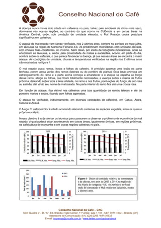 Conselho Nacional do Café – CNC
SCN Quadra 01, Bl. “C”, Ed. Brasília Trade Center, 11º andar, sala 1.101 - CEP 70711-902 – Brasília (DF)
Assessoria de Comunicação: (61) 3226-2269 / 8114-6632
E-mail: imprensa@cncafe.com.br / www.twitter.com/pauloandreck
A doença nunca havia sido citada em cafeeiros no país, talvez pelo ambiente de clima mais seco,
dominante nas nossas regiões, ao contrário do que ocorre na Colômbia e em certas áreas na
América Central, onde, sob condição de umidade elevada, o Mal Rosado causa prejuízos
significativos em cafeeiros.
O ataque de mal rosado vem sendo verificado, nos 2 últimos anos, sempre no período de maio-julho,
em lavouras na região de Marechal Floriano-ES. Ali predominam microclimas com umidade elevada,
com chuvas finas constantes, no inverno. Além disso, por efeito da topografia montanhosa, onde se
encontram as lavouras, e, ainda, pela proximidade de matas e eucaliptais, ocorre, em parte do dia,
sombra sobre os cafezais, o que parece favorecer a doença, já que nessas áreas se encontra o maior
ataque. As condições de umidade, chuvas e temperaturas verificadas na região nos 2 últimos anos
são mostradas na figura 1.
O mal rosado ataca ramos, frutos e folhas do cafeeiro. A princípio aparece uma lesão na parte
lenhosa, porem ainda verde, dos ramos (laterais ou do ponteiro da planta). Esta lesão provoca um
estrangulamento do ramo e a parte acima começa a amarelecer e o ataque se espalha ao longo
desse ramo, atinge as folhas, que ficam totalmente necrosadas, e avança sobre a roseta de frutos
próxima, deixando sobre toda a área afetada, no ramo e nos frutos, pontuações do fungo, de cor rosa
ou salmão, daí vindo seu nome de mal rosado. Na parte inferior do ramo fica até uma crosta rosa.
Em função do ataque, fica visível nos cafeeiros uma boa quantidade de ramos laterais e até do
ponteiro mortos e secos, ficando com folhas agarradas.
O ataque foi verificado, indistintamente, em diversas variedades de cafeeiros, em Catuai, Arara,
Catucai e Acauã.
O fungo C. salmonicolor é citado ocorrendo atacando centenas de espécies vegetais, entre os quais o
próprio eucalipto.
Nosso objetivo é o de alertar os técnicos para passarem a observar o problema de ocorrência do mal
rosado, o qual poderá estar acontecendo em outras áreas, igualmente úmidas, em regiões próximas,
na cafeicultura de montanha e em outras regiões cafeeiras no país.
 
