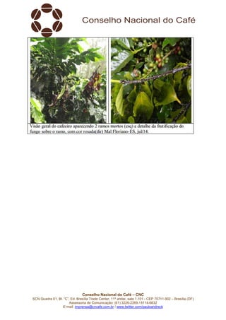 Conselho Nacional do Café – CNC
SCN Quadra 01, Bl. “C”, Ed. Brasília Trade Center, 11º andar, sala 1.101 - CEP 70711-902 – Brasília (DF)
Assessoria de Comunicação: (61) 3226-2269 / 8114-6632
E-mail: imprensa@cncafe.com.br / www.twitter.com/pauloandreck
 