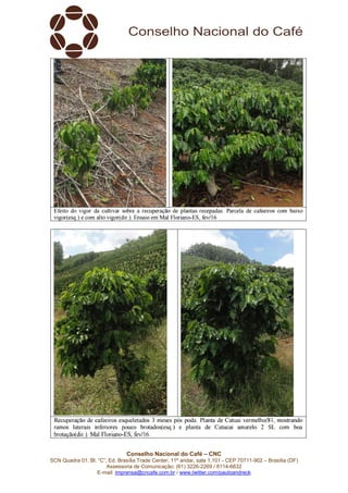 Conselho Nacional do Café – CNC
SCN Quadra 01, Bl. “C”, Ed. Brasília Trade Center, 11º andar, sala 1.101 - CEP 70711-902 – Brasília (DF)
Assessoria de Comunicação: (61) 3226-2269 / 8114-6632
E-mail: imprensa@cncafe.com.br / www.twitter.com/pauloandreck
 