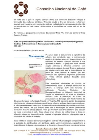 Conselho Nacional do Café – CNC
SCN Quadra 01, Bl. “C”, Ed. Brasília Trade Center, 11º andar, sala 1.101 - CEP 70711-902 – Brasília (DF)
Assessoria de Comunicação: (61) 3226-2269 / 8114-6632
E-mail: imprensa@cncafe.com.br / www.twitter.com/pauloandreck
De volta para o país de origem, Verhage afirma que continuará dedicando esforços à
diminuição das mudanças climáticas. “Pretendo estudar a área de transporte, verificar por
exemplo se o transporte entre continentes pode ser realizado de forma mais sustentável e, não
me esquecendo do café, quero ainda estudar a possibilidade de cultivar café no sul da
Europa”.
Na Holanda, a pesquisa teve orientação do professor Niels P.R. Anten, do Centre for Crop
Systems Analysis.
Café: pesquisas sobre biologia floral e reprodutiva contribui p/ melhoramento genético
Gerência de Transferência de Tecnologia da Embrapa Café
11/04/2017
Lucas Tadeu Ferreira e Eduardo Aiache
Pesquisas sobre a biologia floral e reprodutiva do
cafeeiro têm contribuído para o melhoramento
genético da planta e visam ao desenvolvimento de
cultivares de elevado potencial produtivo e boa
qualidade da bebida. As pesquisas visam também
adaptar cultivares a diferentes ambientes com
resistência a pragas e doenças. Entre as qualidades
das plantas melhoradas está a disponibilidade de
grãos de pólen normais e viáveis, que são
essenciais para a produção de grandes quantidades
de frutos, atributo positivo desejado pelos
cafeicultores.
Para acrescentar informações ao conjunto de
conhecimentos sobre a biologia reprodutiva do
cafeeiro, a Embrapa Café está lançando a
publicação “Aspectos Citológicos da
Microgametogênese no Cafeeiro”, disponível na
íntegra no Observatório do Café do Consórcio
Pesquisa Café. A publicação, de autoria da
pesquisadora da Embrapa Café Paula Cristina da
Silva Angelo, lotada na Fundação Procafé em Varginha, MG, apresenta painéis dos aspectos
citológicos das células germinativas masculinas de cafeeiros ao longo da microgametogênese.
A microgametogênese é o processo de desenvolvimento das células germinativas masculinas,
dentro das anteras, até que estejam aptas para a fecundação. As células germinativas
masculinas maduras são os grãos de pólen, que fecundam os ovários das flores para produzir
os frutos e sementes de café. Estas células foram retiradas de botões florais e flores em
diferentes etapas do desenvolvimento, coradas e fotografas utilizando microscópio para a
construção dos painéis de imagens.
Cada estádio do processo de microgametogênese pode ser influenciado pela compatibilidade e
a qualidade das combinações entre genitores e pelas variáveis ambientais, especialmente a
disponibilidade de água e a temperatura do ar. Portanto, o desenvolvimento normal dos tecidos
 