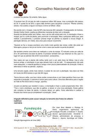 Conselho Nacional do Café – CNC
SCN Quadra 01, Bl. “C”, Ed. Brasília Trade Center, 11º andar, sala 1.101 - CEP 70711-902 – Brasília (DF)
Assessoria de Comunicação: (61) 3226-2269 / 8114-6632
E-mail: imprensa@cncafe.com.br / www.twitter.com/pauloandreck
e adubou as plantas. No entanto, faltou água.
O produtor tem 25 mil pés de café e esperava colher 400 sacas, mas a produção não passou
de 30. A queda foi de 92% e agora falta dinheiro para recuperar a lavoura. “Plantei certinho,
adubei, mas acabou a água e começou a torrar as folhas”, disse.
De acordo com o Incaper, mais de 60% das lavouras têm salvação. O pesquisador do Instituto,
Abraão Carlos Verdin, explica as diferentes maneiras de lidar com a situação.
Quando as plantas estão sem folhas, mas o pé de café ainda está vivo, a orientação é fazer a
recepa, que é o corte da planta, para promover a renovação. Mas o pesquisar alerta que, para
realizar o procedimento, o produtor precisa irrigar as plantas ou esperar a chuva chegar. A
plantação demora, em média, dois anos para crescer novamente.
“Quando se faz a recepa acontece uma morte muito grande das raízes, então não pode ser
feita agora, porque a raiz já vai morrer e tem a seca que auxilia na perda da planta”.
Ele também orienta como deve ser realizado o corte da recepa. “É indicado cortar por volta de
20 a 30 centímetros da base da planta. O produtor também tem que observar os nós, que é o
lugar em que as plantas irão emitir novos brotos”, acrescentou.
Nos casos em que a planta não sofreu tanto com o sol, está cheia de folhas, mas é uma
lavoura antiga, a orientação é que seja retirado todo o pé de café . “O espaçamento não está
mais adequado, o material genético é antigo e tem pouca potencialidade de produção. Então a
alternativa é retirar as plantas”, explicou.
Uma terceira opção, ainda mais radical, é acabar de vez com a plantação. Isso deve ser feito
em locais de difícil acesso e que não têm água.
“Numa lavoura velha, que teve várias podas consecutivas e com base genética fraca que não
responde à produção, o caminho é trocar para outra cultura. Uma boa alternativa para a região
do Vale do Rio Doce seria a manga”, apontou.
Já para as plantas que resistem à seca, a orientação é fazer a poda programada (foto: GZ).
“Tirar o ramo ortotrópico, que são os galhos, e deixar vir uma nova plantação. Esses galhos
são cortados na base da planta, é preciso deixar um galho. Outra alternativa é realizar a
limpeza dos ramos que já completaram a produção”, disse.
Irrigação deficitária pode causar redução no tamanho dos frutos do cafeeiro
CaféPoint
13/07/2016
Por José Braz Matiello e Rodrigo N.
Paiva, engenheiros agrônomos da
Fundação Procafé, e Anderson T. Duarte,
técnico agrícola/consultor, Vanderlei S.
Oliveira, administrador de emrpesa, e
Bianca L. Aquino, tecnóloga em Grãos,
Solução Agronegócios de Unaí (MG)
 