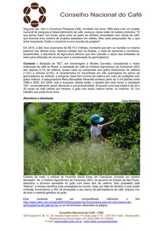 Conselho Nacional do Café – CNC
SCN Quadra 01, Bl. “C”, Ed. Brasília Trade Center, 11º andar, sala 1.101 - CEP 70711-902 – Brasília (DF)
Assessoria de Comunicação: (61) 3226-2269 / 8114-6632
E-mail: imprensa@cncafe.com.br / www.twitter.com/pauloandreck
Segundo ele, nem o Consórcio Pesquisa Café, montado nos anos 1990 para criar um projeto
nacional de pesquisa e desenvolvimento de café, avançou nessa visão de cadeia produtiva. "O
que temos hoje? Um fundo, para onde vai parte do dinheiro arrecadado com venda de café,
que financia uma carteira de projetos baseados em editais. Mas cada pesquisador faz o que
acha importante. Então o consórcio é uma reunião de projetos".
Em 2015, o IAC teve orçamento de R$ 73,7 milhões, montante que tem se mantido no mesmo
patamar nos últimos anos. Apenas metade vem do Estado, o resto de parcerias e convênios.
Questionada, a Secretaria de Agricultura afirmou que tem cobrado o apoio das entidades do
setor para obtenção de recursos para a conservação do germoplasma.
Contexto – Batizada de "AC", em homenagem a Alcides Carvalho, considerado o maior
melhorista de café do Brasil, a variedade de café do Instituto Agronômico de Campinas (IAC)
tem apenas 0,1% de cafeína, quase nada se comparada aos grãos tradicionais de arábica
(1,2%) e robusta (2,4%). A característica foi encontrada em três exemplares do banco de
germoplasma do instituto, e atingiram esse teor mínimo de cafeína por meio de mutações com
grãos arábica. A pesquisadora Maria Bernadete Silvarolla analisou perto de 3 mil plantas entre
1999 e 2003. Em 2004, veio a surpresa. Desde então, o desafio tem sido tornar a variedade
"AC" comercialmente viável, elevando a sua produtividade. Enquanto uma boa média é de 20 a
30 sacas de café colhido por hectare, a grão com baixa cafeína rende, no máximo, 10. Um
trabalho que pode durar anos.
Abandono e desolação
Cládio Belli/Valor
Coberto de mato, o cafezal da Fazenda Santa Elisa, em Campinas, compõe um cenário
desolador. Ali, o Instituto Agronômico de Campinas (IAC), do governo do Estado de São Paulo,
descobriu a primeira variedade do grão com baixo teor de cafeína, feito propalado pela
"Nature", a revista científica mais prestigiada do mundo. Hoje, por falta de dinheiro e sem poder
contratar funcionários, o IAC vê ameaçado o seu banco de germoplasma de café, arquivo vivo
de todo o material genético do grão.
Este conteúdo pode ser compartilhado utilizando o link
http://www.valor.com.br/agro/4391000/escassez-de-funcionarios-poe-em-risco-banco-de-
germoplasma-de-cafe-do-iac ou as ferramentas oferecidas na página.
 