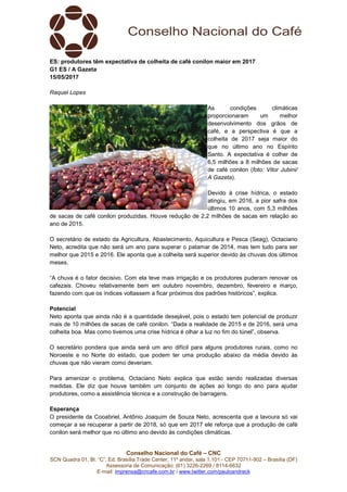 Conselho Nacional do Café – CNC
SCN Quadra 01, Bl. “C”, Ed. Brasília Trade Center, 11º andar, sala 1.101 - CEP 70711-902 – Brasília (DF)
Assessoria de Comunicação: (61) 3226-2269 / 8114-6632
E-mail: imprensa@cncafe.com.br / www.twitter.com/pauloandreck
ES: produtores têm expectativa de colheita de café conilon maior em 2017
G1 ES / A Gazeta
15/05/2017
Raquel Lopes
As condições climáticas
proporcionaram um melhor
desenvolvimento dos grãos de
café, e a perspectiva é que a
colheita de 2017 seja maior do
que no último ano no Espírito
Santo. A expectativa é colher de
6,5 milhões a 8 milhões de sacas
de café conilon (foto: Vitor Jubini/
A Gazeta).
Devido à crise hídrica, o estado
atingiu, em 2016, a pior safra dos
últimos 10 anos, com 5,3 milhões
de sacas de café conilon produzidas. Houve redução de 2,2 milhões de sacas em relação ao
ano de 2015.
O secretário de estado da Agricultura, Abastecimento, Aquicultura e Pesca (Seag), Octaciano
Neto, acredita que não será um ano para superar o patamar de 2014, mas tem tudo para ser
melhor que 2015 e 2016. Ele aponta que a colheita será superior devido às chuvas dos últimos
meses.
“A chuva é o fator decisivo. Com ela teve mais irrigação e os produtores puderam renovar os
cafezais. Choveu relativamente bem em outubro novembro, dezembro, fevereiro e março,
fazendo com que os índices voltassem a ficar próximos dos padrões históricos”, explica.
Potencial
Neto aponta que ainda não é a quantidade desejável, pois o estado tem potencial de produzir
mais de 10 milhões de sacas de café conilon. “Dada a realidade de 2015 e de 2016, será uma
colheita boa. Mas como tivemos uma crise hídrica é olhar a luz no fim do túnel”, observa.
O secretário pondera que ainda será um ano difícil para alguns produtores rurais, como no
Noroeste e no Norte do estado, que podem ter uma produção abaixo da média devido às
chuvas que não vieram como deveriam.
Para amenizar o problema, Octaciano Neto explica que estão sendo realizadas diversas
medidas. Ele diz que houve também um conjunto de ações ao longo do ano para ajudar
produtores, como a assistência técnica e a construção de barragens.
Esperança
O presidente da Cooabriel, Antônio Joaquim de Souza Neto, acrescenta que a lavoura só vai
começar a se recuperar a partir de 2018, só que em 2017 ele reforça que a produção de café
conilon será melhor que no último ano devido às condições climáticas.
 
