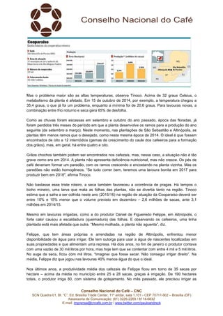 Conselho Nacional do Café – CNC
SCN Quadra 01, Bl. “C”, Ed. Brasília Trade Center, 11º andar, sala 1.101 - CEP 70711-902 – Brasília (DF)
Assessoria de Comunicação: (61) 3226-2269 / 8114-6632
E-mail: imprensa@cncafe.com.br / www.twitter.com/pauloandreck
Mas o problema maior são as altas temperaturas, observa Tinoco. Acima de 32 graus Celsius, o
metabolismo da planta é afetado. Em 15 de outubro de 2014, por exemplo, a temperatura chegou a
35,4 graus, o que já foi um problema, enquanto a mínima foi de 20,6 graus. Para lavouras novas, a
combinação entre frio noturno e seca gera 65% de desfolha.
Como as chuvas foram escassas em setembro e outubro do ano passado, época das floradas, já
foram perdidos três meses do período em que a planta desenvolve os ramos para a produção do ano
seguinte (de setembro a março). Neste momento, nas plantações de São Sebastião e Altinópolis, as
plantas têm menos ramos que o desejado, como nesta mesma época de 2014. O ideal é que fossem
encontrados de oito a 12 internódios (gemas de crescimento do caule dos cafeeiros para a formação
dos grãos), mas, em geral, há entre quatro e oito.
Grãos chochos também podem ser encontrados nos cafezais, mas, nesse caso, a situação não é tão
grave como era em 2014. A planta não apresenta deficiência nutricional, mas não cresce. Os pés de
café deveriam formar um paredão, com os ramos crescendo e encostando na planta vizinha. Mas os
paredões não estão homogêneos. “Se tudo correr bem, teremos uma lavoura bonita em 2017 para
produzir bem em 2018″, afirma Tinoco.
Não bastasse esse triste roteiro, a seca também favoreceu a ocorrência de pragas. Há tempos o
bicho mineiro, uma larva que mata as folhas das plantas, não se divertia tanto na região. Tinoco
estima que a safra a ser colhida neste ano (2015/16) na região de atuação da Cooparaiso deverá ser
entre 10% e 15% menor que o volume previsto em dezembro – 2,6 milhões de sacas, ante 3,1
milhões em 2014/15.
Mesmo em lavouras irrigadas, como a do produtor Daniel de Figueiredo Felippe, em Altinópolis, o
forte calor causou a escaldadura (queimadura) das folhas. E observando os cafeeiros, uma linha
plantada está mais afetada que outra. “Mesmo molhada, a planta não aguenta”, diz.
Felippe, que tem áreas próprias e arrendadas na região de Altinópolis, enfrentou menor
disponibilidade de água para irrigar. Ele tem outorga para usar a água de nascentes localizadas em
suas propriedades e que alimentam uma represa. Há dois anos, no fim de janeiro o produtor contava
com uma vazão de 30 mil litros por hora, mas hoje tem que se contentar com entre 4 mil e 5 mil litros.
No auge da seca, ficou com mil litros. “Imaginei que fosse secar. Não consegui irrigar direito”. Na
média, Felippe diz que jogou nas lavouras 40% menos água do que o ideal.
Nos últimos anos, a produtividade média dos cafezais de Felippe ficou em torno de 35 sacas por
hectare – acima da média no município entre 25 e 28 sacas, graças à irrigação. De 190 hectares
totais, o produtor irriga 80, com sistema de gotejamento. No mês passado, ele precisou irrigar as
 