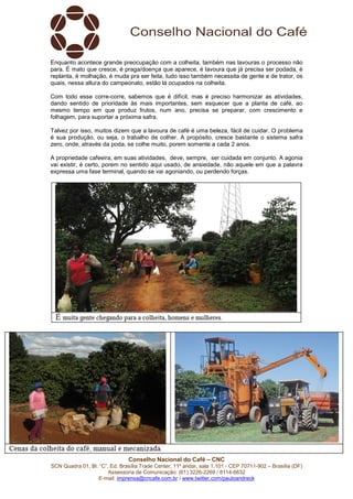 Conselho Nacional do Café – CNC
SCN Quadra 01, Bl. “C”, Ed. Brasília Trade Center, 11º andar, sala 1.101 - CEP 70711-902 – Brasília (DF)
Assessoria de Comunicação: (61) 3226-2269 / 8114-6632
E-mail: imprensa@cncafe.com.br / www.twitter.com/pauloandreck
Enquanto acontece grande preocupação com a colheita, também nas lavouras o processo não
para. É mato que cresce, é praga/doença que aparece, é lavoura que já precisa ser podada, é
replanta, é molhação, é muda pra ser feita, tudo isso também necessita de gente e de trator, os
quais, nessa altura do campeonato, estão lá ocupados na colheita.
Com todo esse corre-corre, sabemos que é difícil, mas é preciso harmonizar as atividades,
dando sentido de prioridade às mais importantes, sem esquecer que a planta de café, ao
mesmo tempo em que produz frutos, num ano, precisa se preparar, com crescimento e
folhagem, para suportar a próxima safra.
Talvez por isso, muitos dizem que a lavoura de café é uma beleza, fácil de cuidar. O problema
é sua produção, ou seja, o trabalho de colher. A propósito, cresce bastante o sistema safra
zero, onde, através da poda, se colhe muito, porem somente a cada 2 anos.
A propriedade cafeeira, em suas atividades, deve, sempre, ser cuidada em conjunto. A agonia
vai existir, é certo, porem no sentido aqui usado, de ansiedade, não aquele em que a palavra
expressa uma fase terminal, quando se vai agoniando, ou perdendo forças.
 