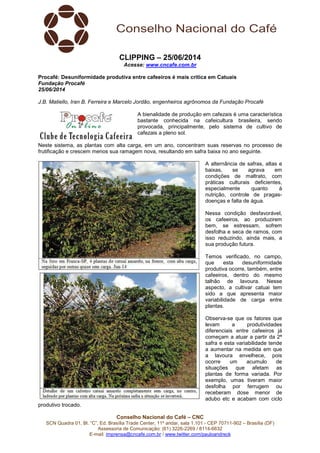 Conselho Nacional do Café – CNC
SCN Quadra 01, Bl. “C”, Ed. Brasília Trade Center, 11º andar, sala 1.101 - CEP 70711-902 – Brasília (DF)
Assessoria de Comunicação: (61) 3226-2269 / 8114-6632
E-mail: imprensa@cncafe.com.br / www.twitter.com/pauloandreck
CLIPPING – 25/06/2014
Acesse: www.cncafe.com.br
Procafé: Desuniformidade produtiva entre cafeeiros é mais critica em Catuaís
Fundação Procafé
25/06/2014
J.B. Matiello, Iran B. Ferreira e Marcelo Jordão, engenheiros agrônomos da Fundação Procafé
A bienalidade de produção em cafezais é uma característica
bastante conhecida na cafeicultura brasileira, sendo
provocada, principalmente, pelo sistema de cultivo de
cafezais a pleno sol.
Neste sistema, as plantas com alta carga, em um ano, concentram suas reservas no processo de
frutificação e crescem menos sua ramagem nova, resultando em safra baixa no ano seguinte.
A alternância de safras, altas e
baixas, se agrava em
condições de maltrato, com
práticas culturais deficientes,
especialmente quanto à
nutrição, controle de pragas-
doenças e falta de água.
Nessa condição desfavorável,
os cafeeiros, ao produzirem
bem, se estressam, sofrem
desfolha e seca de ramos, com
isso reduzindo, ainda mais, a
sua produção futura.
Temos verificado, no campo,
que esta desuniformidade
produtiva ocorre, também, entre
cafeeiros, dentro do mesmo
talhão de lavoura. Nesse
aspecto, a cultivar catuai tem
sido a que apresenta maior
variabilidade de carga entre
plantas.
Observa-se que os fatores que
levam a produtividades
diferenciais entre cafeeiros já
começam a atuar a partir da 2ª
safra e esta variabilidade tende
a aumentar na medida em que
a lavoura envelhece, pois
ocorre um acumulo de
situações que afetam as
plantas de forma variada. Por
exemplo, umas tiveram maior
desfolha por ferrugem ou
receberam dose menor de
adubo etc e acabam com ciclo
produtivo trocado.
 