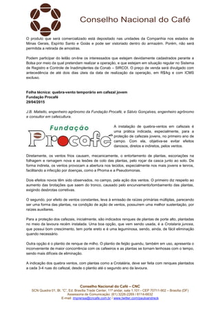 Conselho Nacional do Café – CNC
SCN Quadra 01, Bl. “C”, Ed. Brasília Trade Center, 11º andar, sala 1.101 - CEP 70711-902 – Brasília (DF)
Assessoria de Comunicação: (61) 3226-2269 / 8114-6632
E-mail: imprensa@cncafe.com.br / www.twitter.com/pauloandreck
O produto que será comercializado está depositado nas unidades da Companhia nos estados de
Minas Gerais, Espírito Santo e Goiás e pode ser vistoriado dentro do armazém. Porém, não será
permitida a retirada de amostras.
Podem participar do leilão on-line os interessados que estejam devidamente cadastrados perante a
Bolsa por meio da qual pretendam realizar a operação, e que estejam em situação regular no Sistema
de Registro e Controle de Inadimplentes da Conab – SIRCOI. O preço de venda será divulgado com
antecedência de até dois dias úteis da data de realização da operação, em R$/kg e com ICMS
excluso.
Folha técnica: quebra-vento temporário em cafezal jovem
Fundação Procafé
29/04/2015
J.B. Matiello, engenheiro agrônomo da Fundação Procafé, e Sálvio Gonçalves, engenheiro agrônomo
e consultor em cafeicultura.
A instalação de quebra-ventos em cafezais é
uma prática indicada, especialmente, para a
proteção de cafezais jovens, no primeiro ano de
campo. Com ela, objetiva-se evitar efeitos
danosos, diretos e indiretos, pelos ventos.
Diretamente, os ventos frios causam, mecanicamente, o entortamento de plantas, escoriações na
folhagem e ramagem nova e as lesões de colo das plantas, pelo roçar da casca junto ao solo. De
forma indireta, os ventos provocam a abertura nos tecidos, especialmente nos mais jovens e tenros,
facilitando a infecção por doenças, como a Phoma e a Pseudomonas.
Dois efeitos novos têm sido observados, no campo, pela ação dos ventos. O primeiro diz respeito ao
aumento das brotações que saem do tronco, causado pelo encurvamento/tombamento das plantas,
exigindo desbrotas corretivas.
O segundo, por efeito de ventos constantes, leva à emissão de raízes primárias múltiplas, parecendo
ser uma forma das plantas, na condição de ação de ventos, possuírem uma melhor sustentação, por
raízes auxiliares.
Para a proteção dos cafezais, inicialmente, são indicados renques de plantas de porte alto, plantadas
no meio da lavoura recém instalada. Uma boa opção, que vem sendo usada, é a Crotalaria juncea,
que possui bom crescimento, tem porte ereto e é uma leguminosa, sendo, ainda, de fácil eliminação
quando necessário.
Outra opção é o plantio de renque de milho. O plantio de feijão guandu, também em uso, apresenta o
inconveniente de maior concorrência com os cafeeiros e as plantas se tornam lenhosas com o tempo,
sendo mais difíceis de eliminação.
A indicação dos quebra ventos, com plantas como a Crotalária, deve ser feita com renques plantados
a cada 3-4 ruas do cafezal, desde o plantio até o segundo ano da lavoura.
 