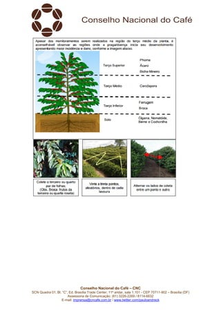SCN Quadra 01, Bl. “C”, Ed. Brasília Trade Center, 11º andar, sala 1.101
Assessoria de Comunicação: (61) 3
E-mail: imprensa@cncafe.com.br
Conselho Nacional do Café – CNC
SCN Quadra 01, Bl. “C”, Ed. Brasília Trade Center, 11º andar, sala 1.101 - CEP 70711
Assessoria de Comunicação: (61) 3226-2269 / 8114-6632
imprensa@cncafe.com.br / www.twitter.com/pauloandreck
CEP 70711-902 – Brasília (DF)
 