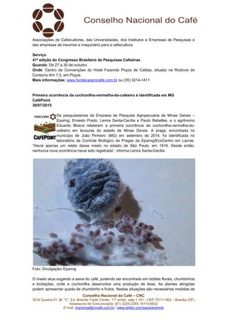 Conselho Nacional do Café – CNC
SCN Quadra 01, Bl. “C”, Ed. Brasília Trade Center, 11º andar, sala 1.101 - CEP 70711-902 – Brasília (DF)
Assessoria de Comunicação: (61) 3226-2269 / 8114-6632
E-mail: imprensa@cncafe.com.br / www.twitter.com/pauloandreck
Associações de Cafeicultores, das Universidades, dos Institutos e Empresas de Pesquisas e
das empresas de insumos e maquinário para a cafeicultura.
Serviço
41ª edição do Congresso Brasileiro de Pesquisas Cafeeiras
Quando: De 27 a 30 de outubro
Onde: Centro de Convenções do Hotel Fazenda Poços de Caldas, situado na Rodovia do
Contorno Km 7,5, em Poços.
Mais informações: www.fundacaoprocafe.com.br ou (35) 3214-1411
Primeira ocorrência da cochonilha-vermelha-do-cafeeiro é identificada em MG
CaféPoint
30/07/2015
Os pesquisadores da Empresa de Pesquisa Agropecuária de Minas Gerais –
Epamig, Ernesto Prado, Lenira Santa-Cecília e Paulo Rebelles, e o agrônomo
Eduardo Mosca relataram a primeira ocorrência da cochonilha-vermelha-do-
cafeeiro em lavouras do estado de Minas Gerais. A praga, encontrada no
município de João Pinheiro (MG) em setembro de 2014, foi identificada no
laboratório de Controle Biológico de Pragas da Epamig/EcoCentro em Lavras.
“Havia apenas um relato desse inseto no estado de São Paulo, em 1919. Desde então,
nenhuma nova ocorrência havia sido registrada”, informa Lenira Santa-Cecília.
Foto: Divulgação/ Epamig
O inseto atua sugando a seiva do café, podendo ser encontrado em botões florais, chumbinhos
e brotações, onde a cochonilha desenvolve uma produção de teias. As plantas atingidas
podem apresentar queda de chumbinho e frutos. Nestas situações são necessárias medidas de
 
