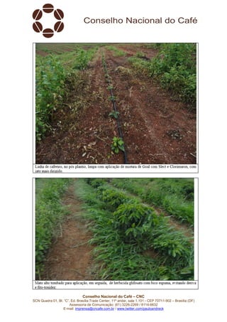 Conselho Nacional do Café – CNC
SCN Quadra 01, Bl. “C”, Ed. Brasília Trade Center, 11º andar, sala 1.101 - CEP 70711-902 – Brasília (DF)
Assessoria de Comunicação: (61) 3226-2269 / 8114-6632
E-mail: imprensa@cncafe.com.br / www.twitter.com/pauloandreck
 