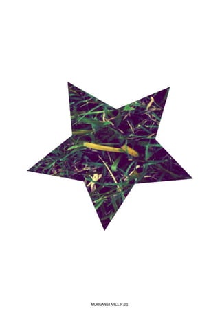 MORGANSTARCLIP.jpg
 