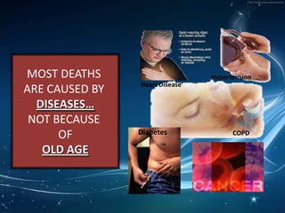 20 times more potent than Vitamin C