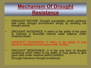 drought and heat stress | PDF
