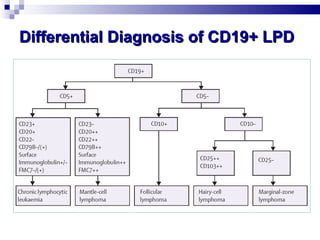 Differential Diagnosis of CD19+ LPD Hamblin GDT. Lancet 2008 ; 371 : 1017-29 