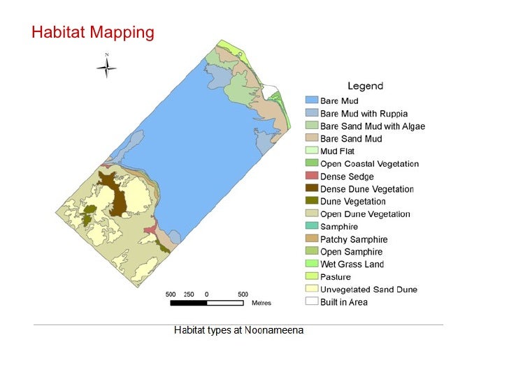 Dynamic Habitat CLLAMM technical briefing